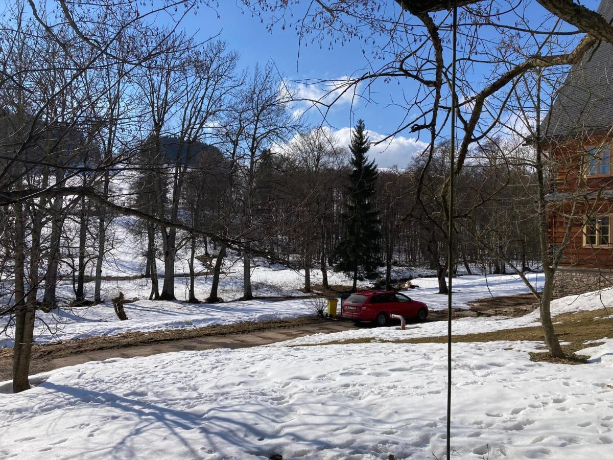 Samota U Hadince Hotel Bartosovice v Orlickych Horach Exterior photo