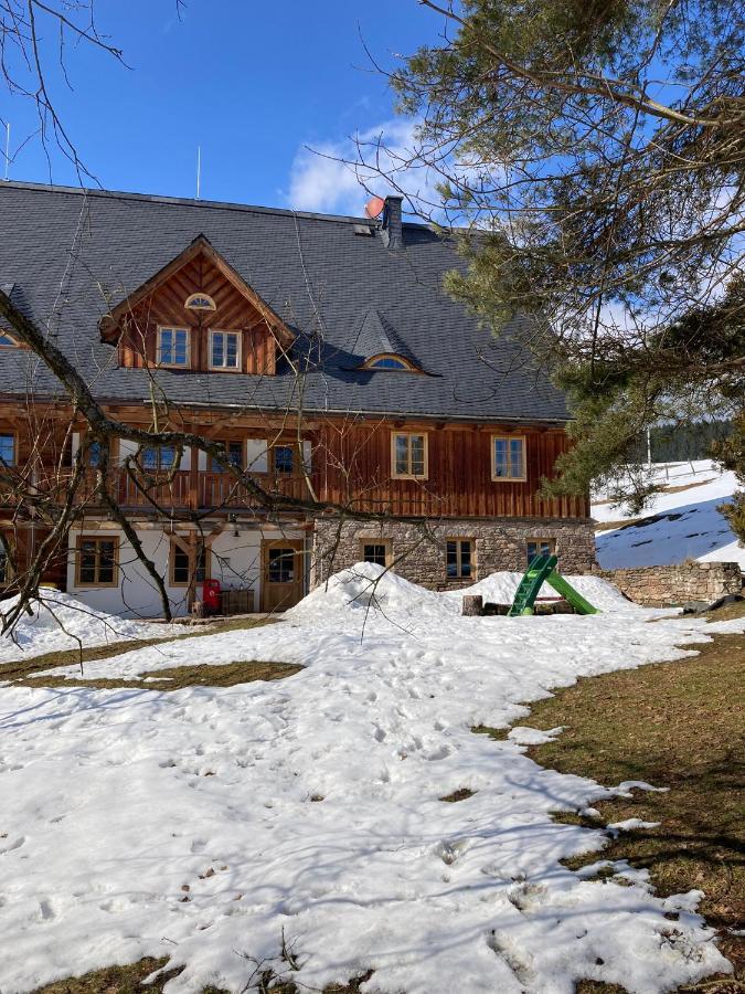 Samota U Hadince Hotel Bartosovice v Orlickych Horach Exterior photo